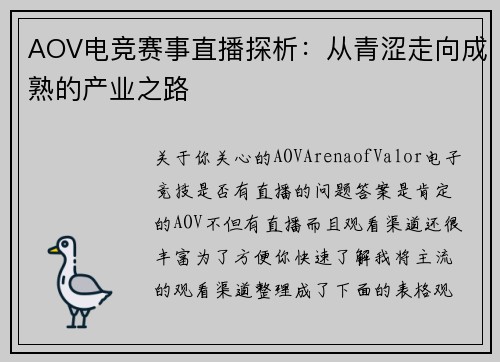 AOV电竞赛事直播探析：从青涩走向成熟的产业之路