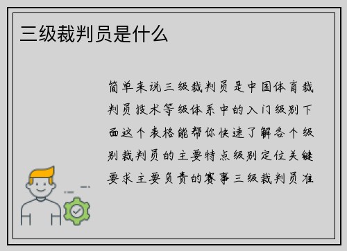 三级裁判员是什么